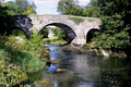 Carlow Tourism Ltd logo