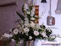 Castlebar Florists image 4