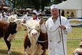 Charleville Agricultural Show logo