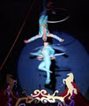 Circus Gerbola logo