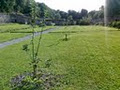 Colclough Walled Garden image 4