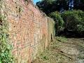 Colclough Walled Garden image 6