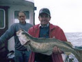 Cork Harbour Boats image 3