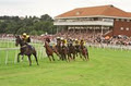 Cork Racecourse Mallow logo