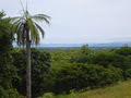 Costa Rica Invest image 1