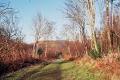 Croagh Patrick Heritage Tail image 2