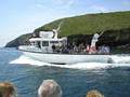 Dingle Bay Charters image 2