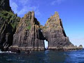 Dingle Bay Charters image 4