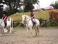 Doyles Equestrian Centre image 2