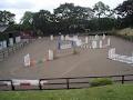 Doyles Equestrian Centre image 4