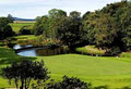 Druids Glen Hotel & Resort Wicklow image 2