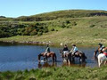 Dunfanaghy Stables Ltd image 3