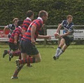 Dungarvan Rugby Club image 3