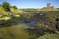 Dunguaire Castle image 3