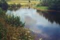 East Mayo Anglers image 6