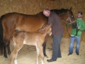 Edenderry Veterinary Clinic image 4