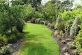 Escape garden Landscaping image 5