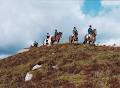 Feeneys Equestrian Center Galway image 6