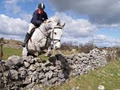 Fox hunting Ireland, Loughrea Equestrian Centre image 2