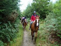 Fox hunting Ireland, Loughrea Equestrian Centre image 4