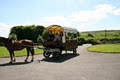 Fox hunting Ireland, Loughrea Equestrian Centre image 5