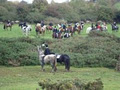 Fox hunting Ireland, Loughrea Equestrian Centre image 6