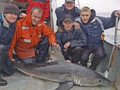 Galway Bay Fishing image 2