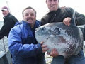 Galway Bay Fishing image 4