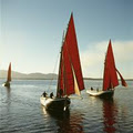 Galway Tourism image 5