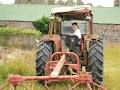 Irish Farmers Journal image 2