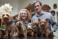 IrishDogs.ie image 1