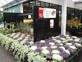 Johnstown Garden Centre image 3