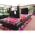 Johnstown Garden Centre image 4