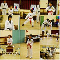 KIMS TAEKWONDO image 2