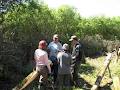 Kerry Bushcraft School image 6