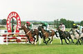 Kilbeggan Races image 1