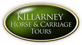 Killarney Horse and Carriage Tours image 1