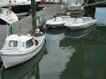 Kinsale Boat Hire image 6