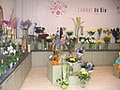 Lamber De Bie Flowers image 3