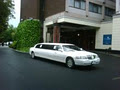 Limos for Less logo