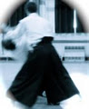 MIDLETON AIKIDO CLUB image 4