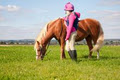 Mackey Equestrian Ireland logo