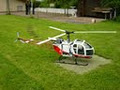 Model Heli Services image 3