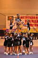 North Dublin Wildcats Cheerleading Squad logo