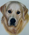 OIL PAINT MY PET image 2