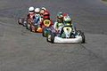 Pallas Karting image 2