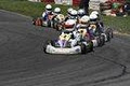 Pallas Karting image 3