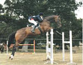 Pelletstown Riding Centre image 5