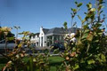 Raheen Woods Hotel image 2