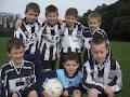 Raheny United Football Club image 3